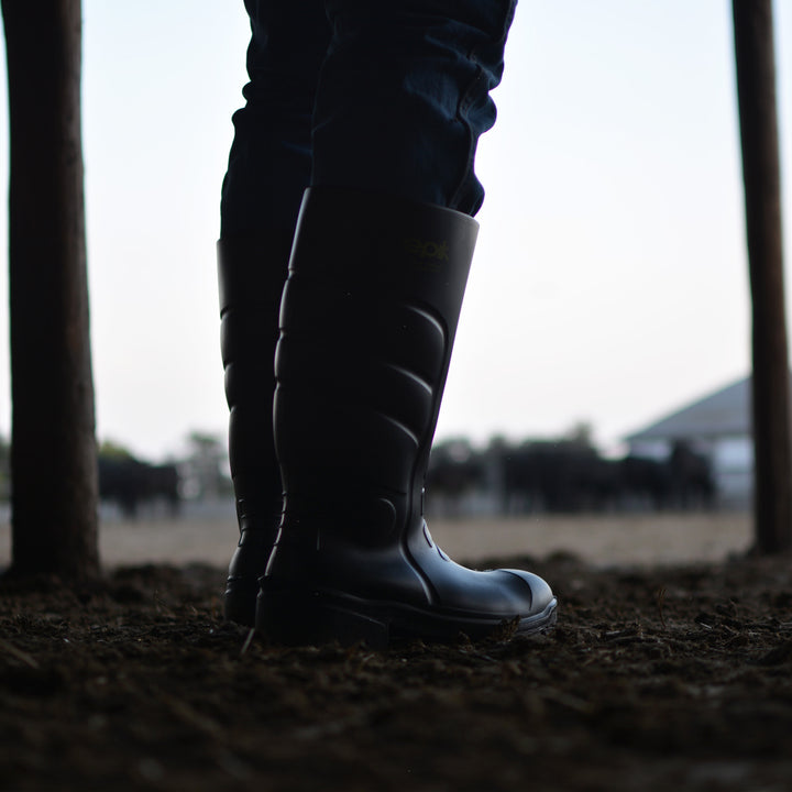 Pace Boot sunset Action photos